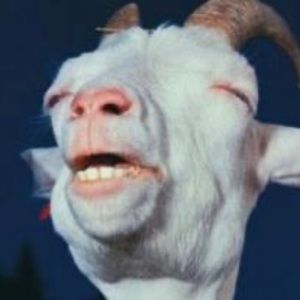 Meet your Posher, Alexander